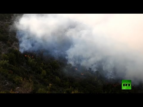 شاهد حرائق الغابات تجتاح شمال غرب سورية